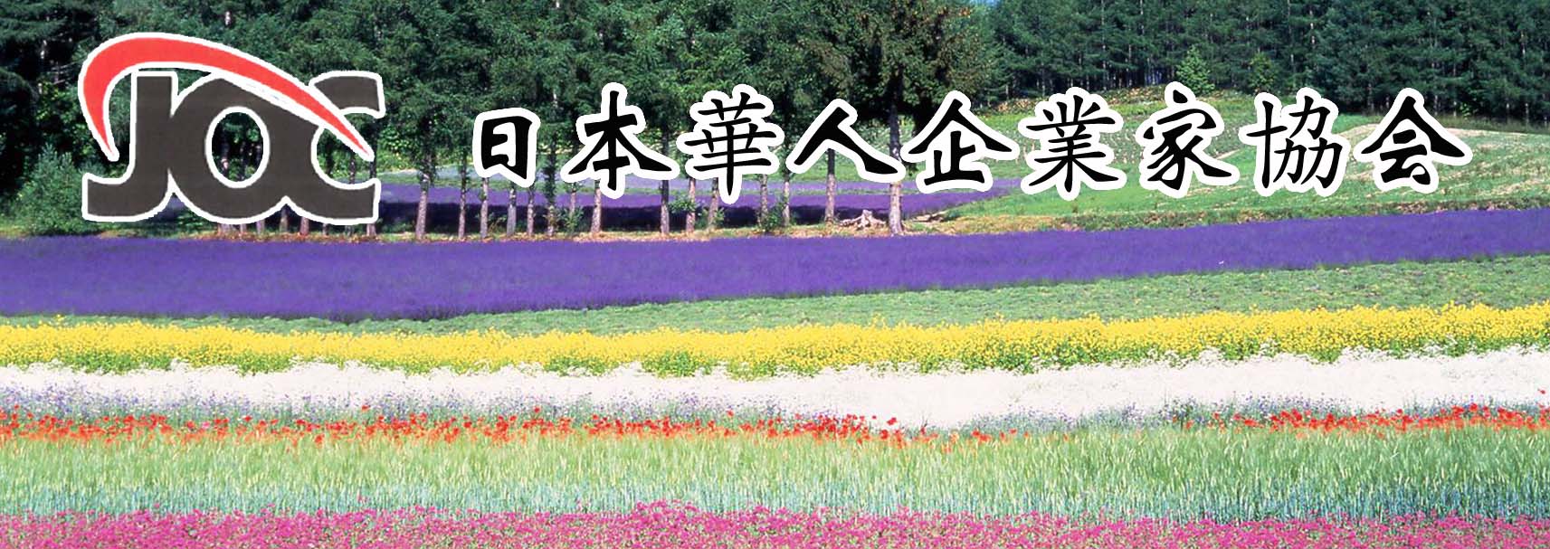 "北海道 富良野"